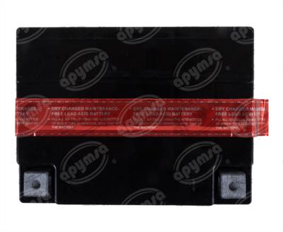 BATERIA MOTOCICLETA LIBRE DE MANTENIMIENTO 12V REIDEN YTX30L-BS 