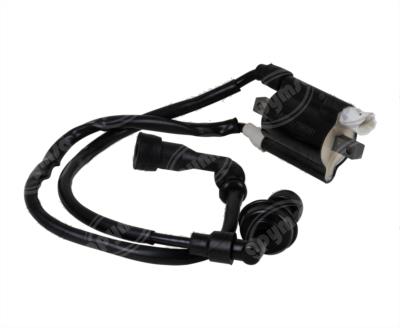 BOBINA ENCENDIDO NS 200 BIKALL J6041360245 