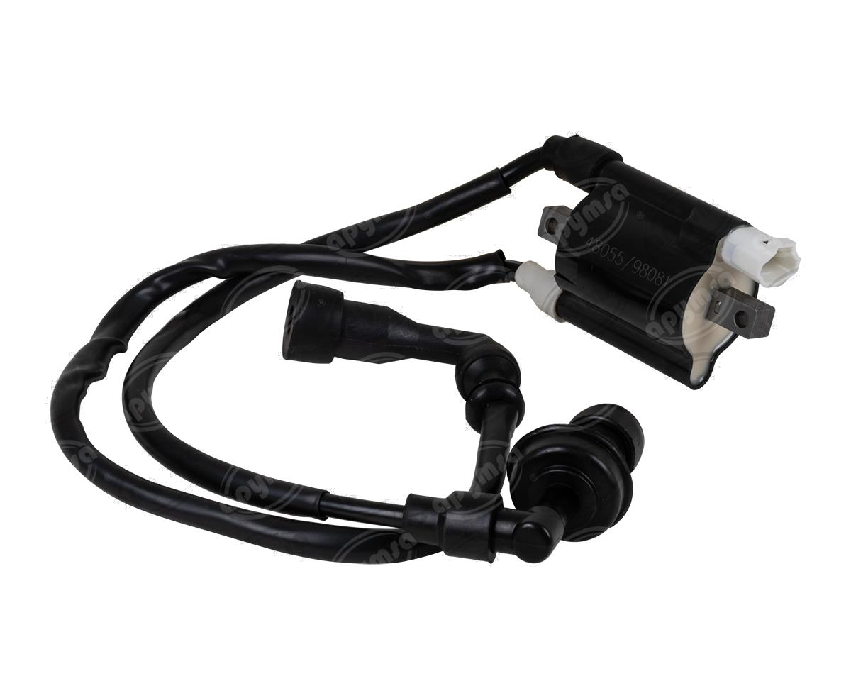 BOBINA ENCENDIDO NS 200 BIKALL J6041360245 