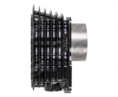 CILINDRO COMPLETO FT 150, FORZA 150, Z 150, 150SZ, FIERA 150 BIKALL BAP-CIL-6005 