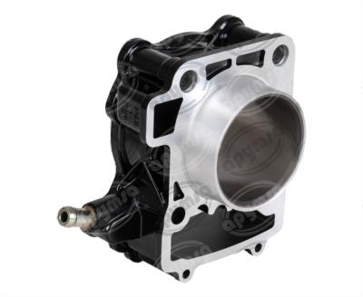 CILINDRO COMPLETO PULSAR NS 200, AS 200 BIKALL BAP-CIL-6007 