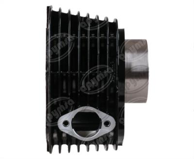 CILINDRO COMPLETO 250Z DISTRIBUCIÓN DE CADENA BIKALL BSJ-TG1662 