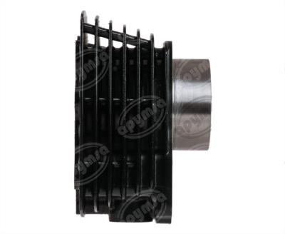 CILINDRO COMPLETO 150 CC PISTON CORTO PERNO DELGADO BIKALL BSJ-TG1687 