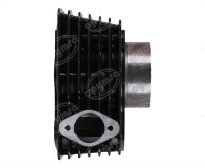 CILINDRO COMPLETO 170Z BIKALL BSJ-TG1686 