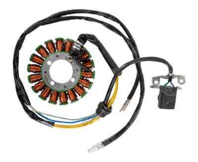 ESTATOR MOTOCICLETA 250Z 19-20 BIKALL J6021720271 