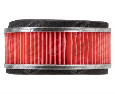 FILTRO DE AIRE DS 150, XS 150 BIKALL J6021440010 