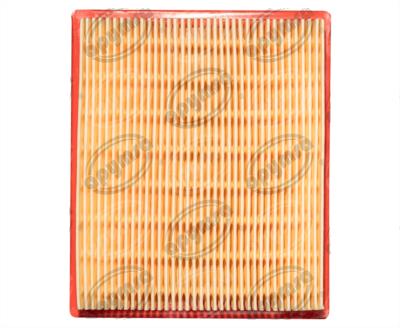 FILTRO DE AIRE DM150, DM200, DM250, CROSSMAX 250 BIKALL J6021440040 