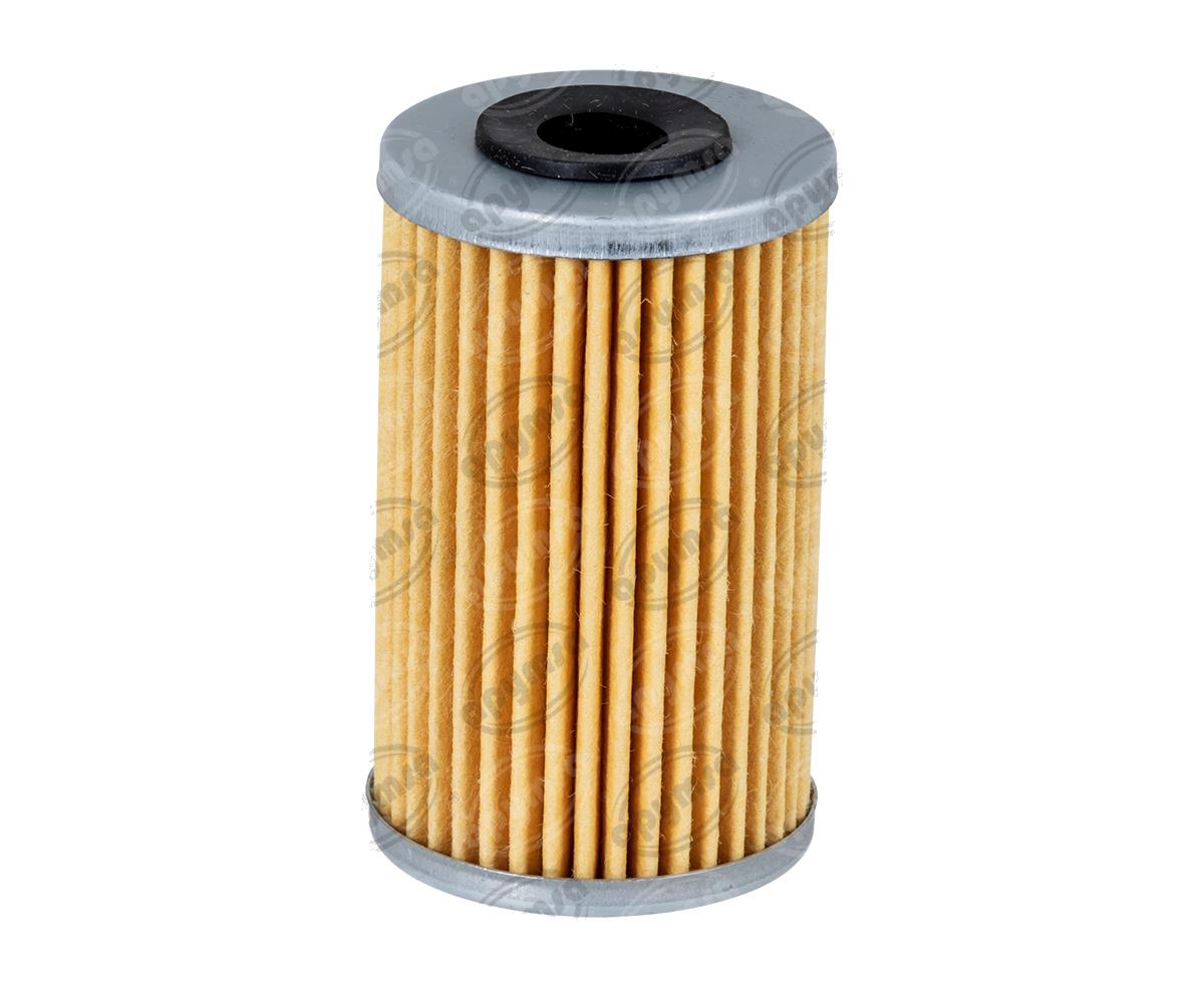 FILTRO DE ACEITE NS 200 BIKALL J6021490043 
