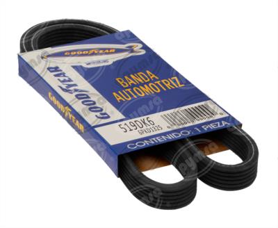 BANDA ARP POLY-V DOBLE SEAT, VW GOODYEAR GOODYEAR 519DK6 