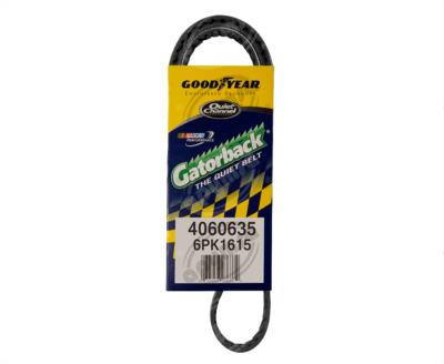 BANDA ARP POLY-V AUDI A3 CHEVROLET CAMARO FORD AEROSTAR PONTIAC VW CONTINENTAL 4060635 