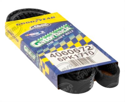 BANDA ARP POLY-V BUICK CENTURY CHEVROLET LUMINA FORD MERCURY SABLE GOODYEAR 4060672 