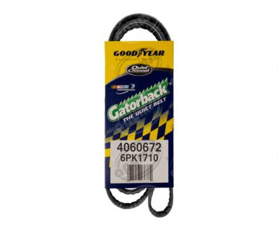 BANDA ARP POLY-V BUICK CENTURY CHEVROLET LUMINA FORD MERCURY SABLE GOODYEAR 4060672 