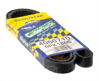 BANDA ARP POLY-V CHEVROLET CAVALIER CHEVY TIGRA JEEP GRAND CHEROKEE CONTINENTAL 4060710 