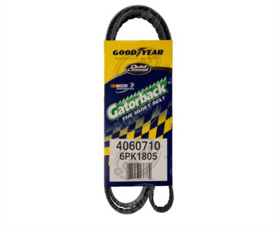 BANDA ARP POLY-V CHEVROLET CAVALIER CHEVY TIGRA JEEP GRAND CHEROKEE CONTINENTAL 4060710 