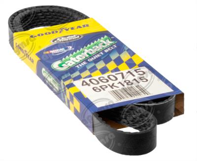 BANDA ARP POLY-V FORD CONTOUR MONDEO GOODYEAR 4060715 