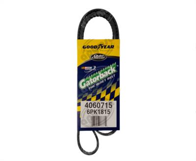 BANDA ARP POLY-V FORD CONTOUR MONDEO GOODYEAR 4060715 
