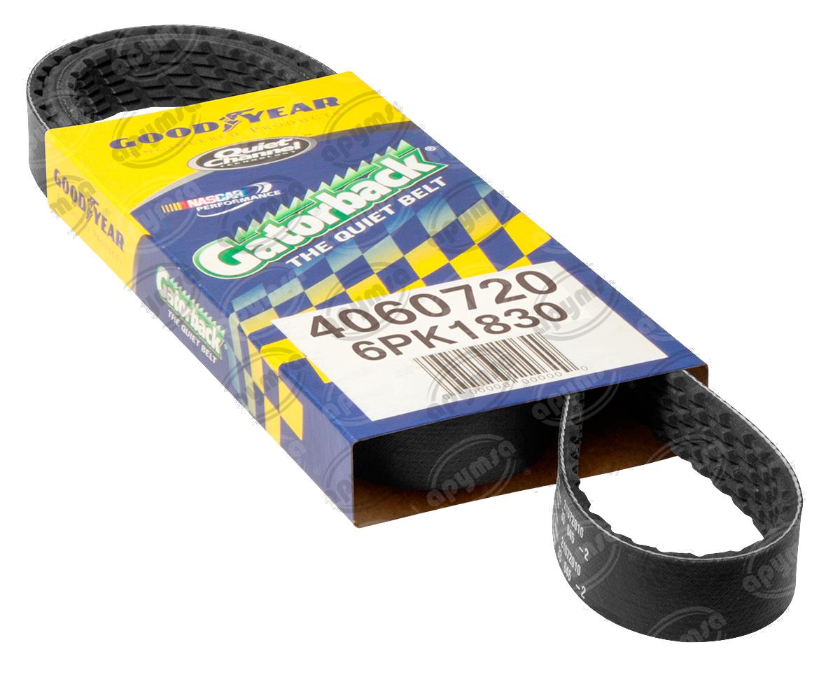 BANDA ARP POLY-V BMW FORD BUICK MERCURY SUZUKI CONTINENTAL 4060720 