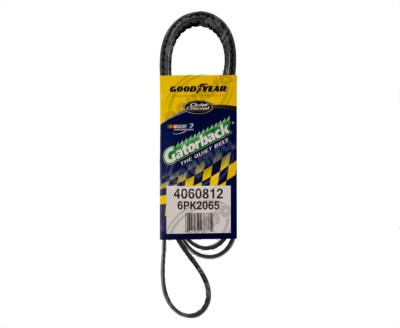 BANDA ARP POLY-V FORD KARANGER MERCURY SABLE CONTINENTAL 4060812 