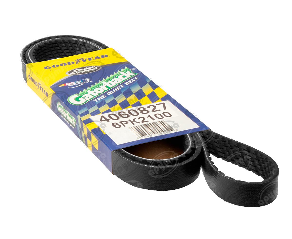 BANDA ARP POLY-V CADILLAC DEVILLE CHRYSLER VOYAGER FORD KA FOCUS CONTINENTAL 4060827 