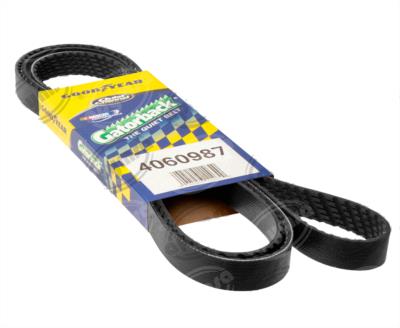 BANDA ARP POLY-V CHRYSLER GRAND VOYAGER FORD EXPEDITION GOODYEAR 4060987 