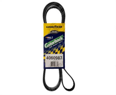 BANDA ARP POLY-V CHRYSLER GRAND VOYAGER FORD EXPEDITION GOODYEAR 4060987 