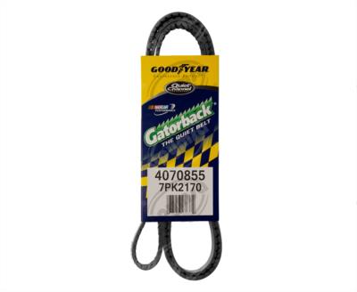 BANDA ARP POLY-V HONDA CIVIC GOODYEAR 4070855 
