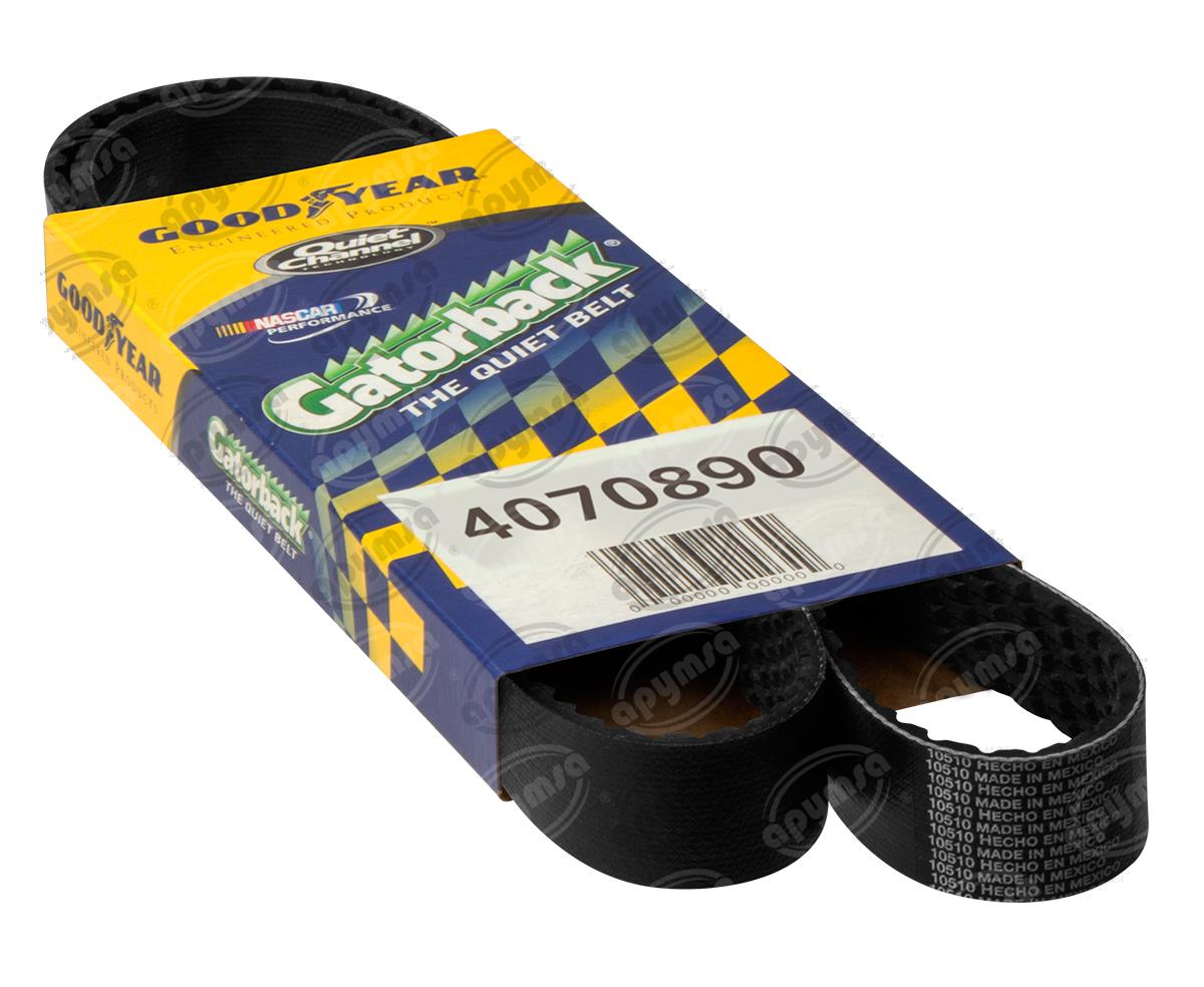 BANDA ARP POLY-V JEEP GRAND CHEROKEE CONTINENTAL 4070890 