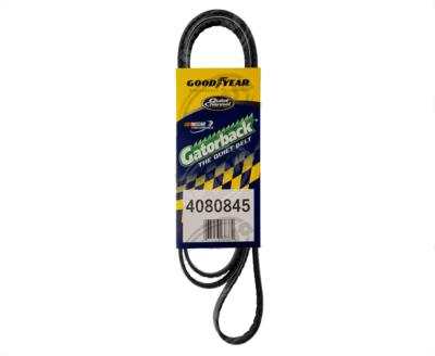 BANDA ARP POLY-V 84" FREIGHTLINER, INTERNATIONAL GOODYEAR 4080845 