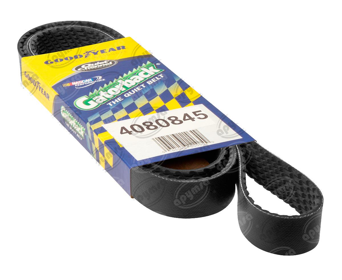 BANDA ARP POLY-V 84" FREIGHTLINER, INTERNATIONAL GOODYEAR 4080845 