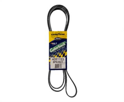BANDA ARP POLY-V 115" FORD GOODYEAR GOODYEAR 4081153 