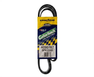 BANDA ARP POLY-V 78" CONTINENTAL 4090787 