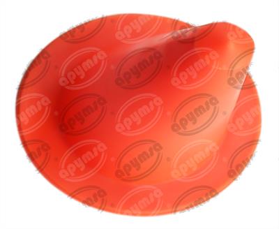 Producto perteneciente a familia Cono de Apymsa